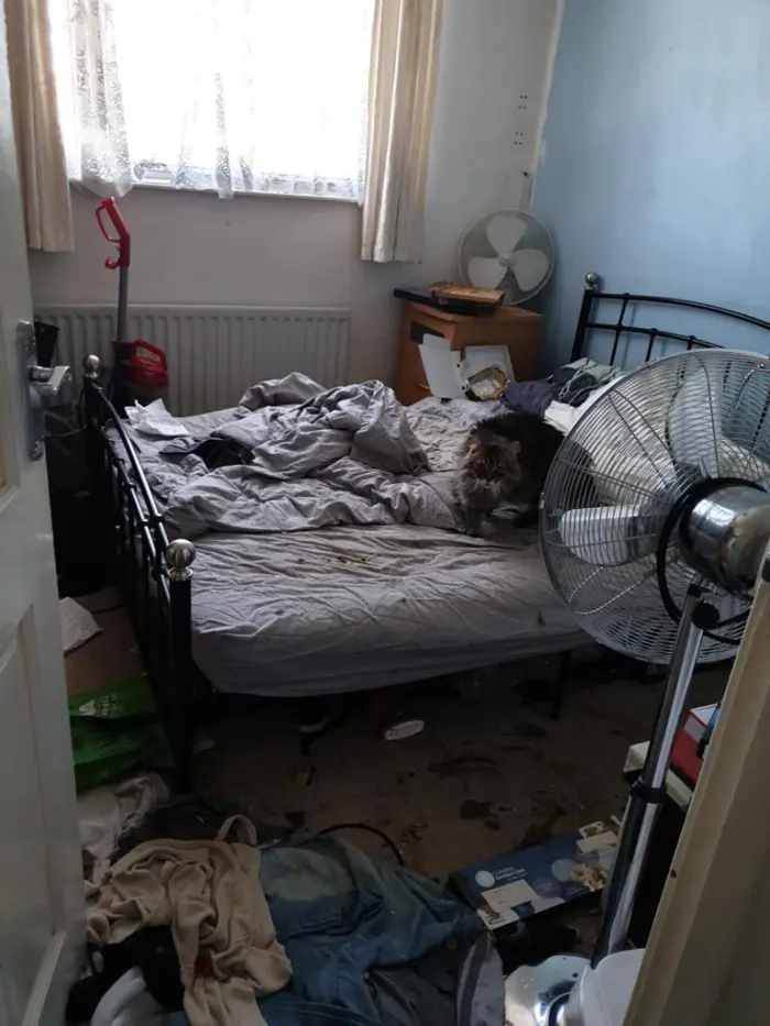 9a6ee7e7-387d-402c-894e-05e9cf90e5a7